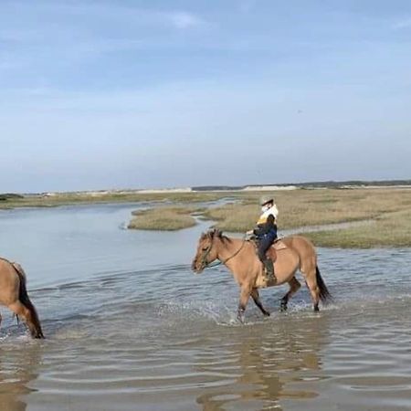 Fort-Mahon : Superbe T2 A 2 Pas De La Plage Avec Parking Prive - Fr-1-482-15 Екстериор снимка